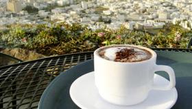 1- Yearly Membership Discounts