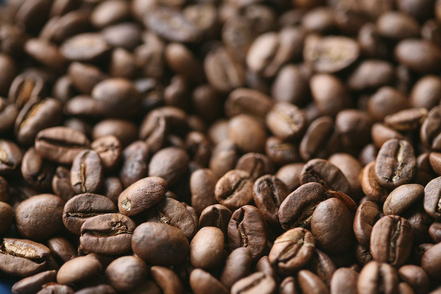 metodi di lavorazione del caffè per uso