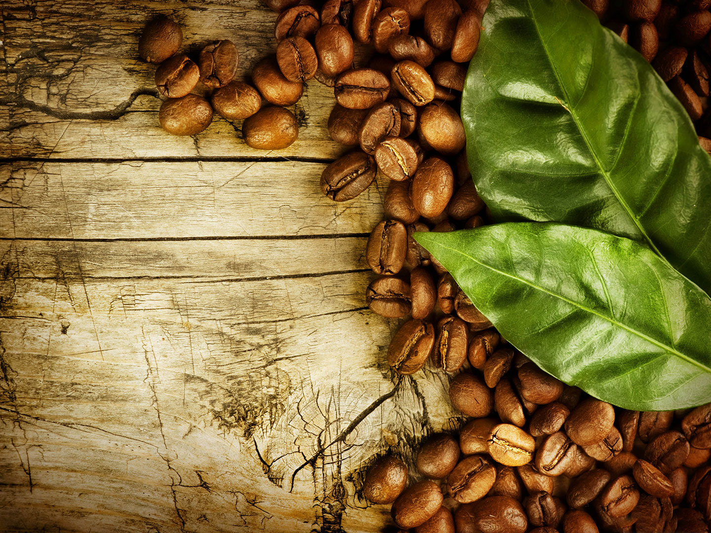 Proteggere malattia di cuore contro